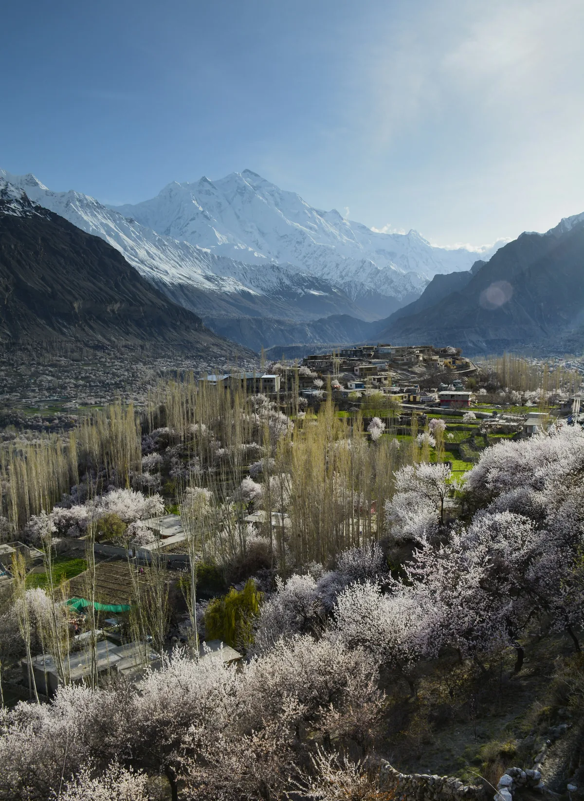 A mountain village in Hunza, Pakistan, surrounded by blossoming trees