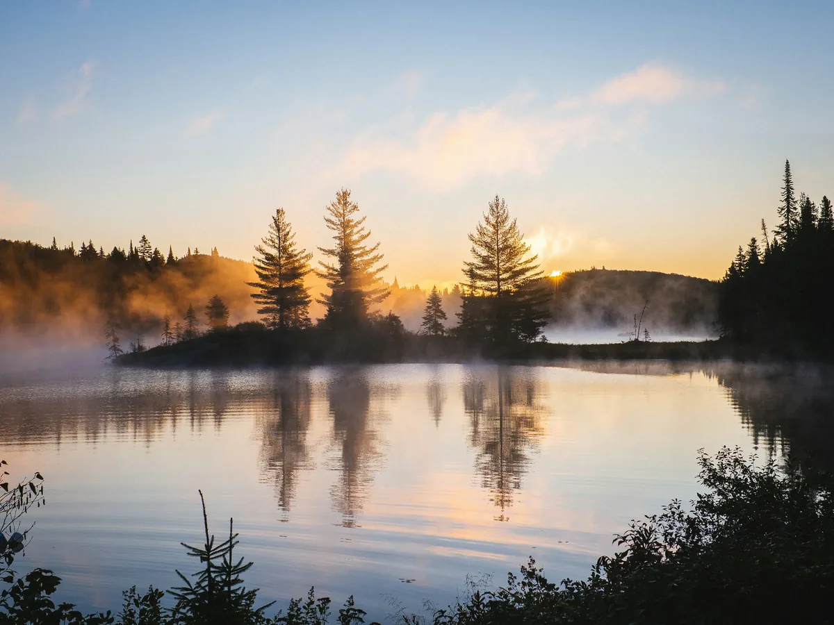 Trees reflected in a still lake at sunrise