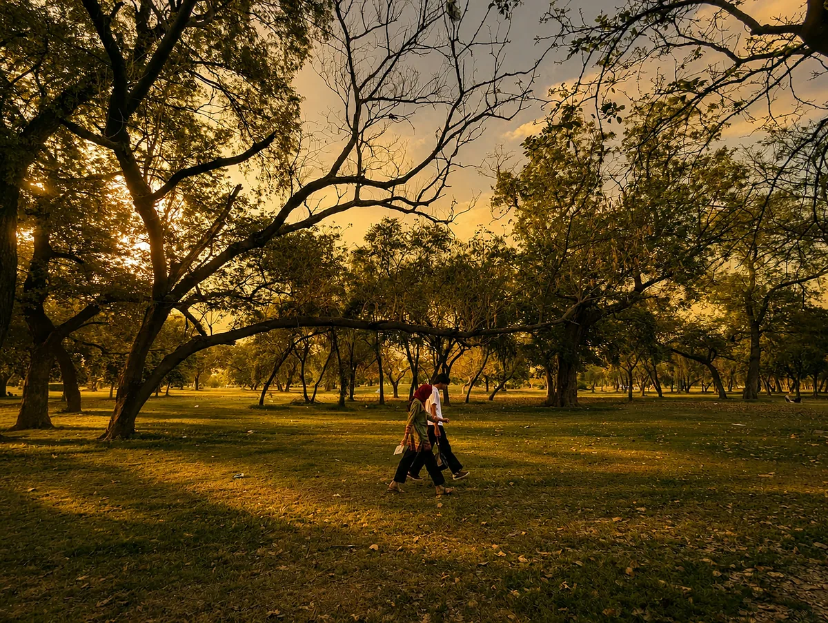 A couple walking through a park in golden evening light